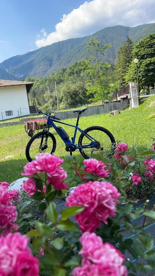 B&B Stari Mlin - Vecchio Mulino San Giorgio  ภายนอก รูปภาพ